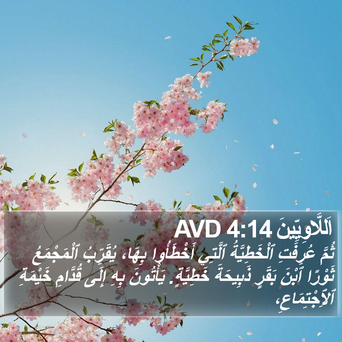 اَللَّاوِيِّينَ 4:14 AVD Bible Study
