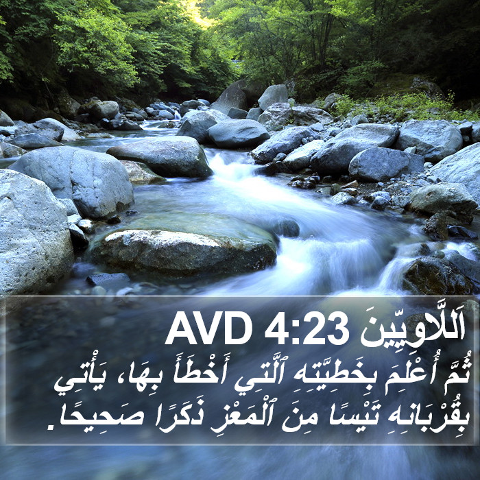 اَللَّاوِيِّينَ 4:23 AVD Bible Study