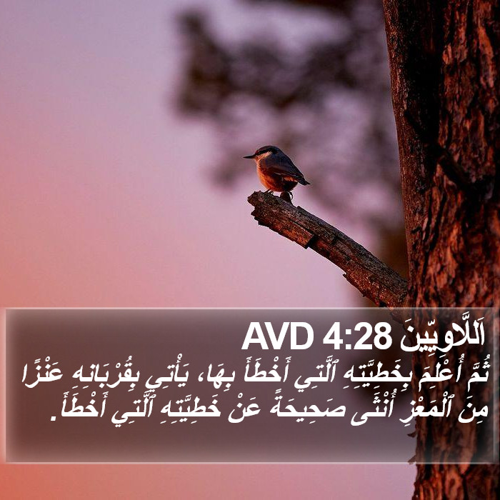 اَللَّاوِيِّينَ 4:28 AVD Bible Study