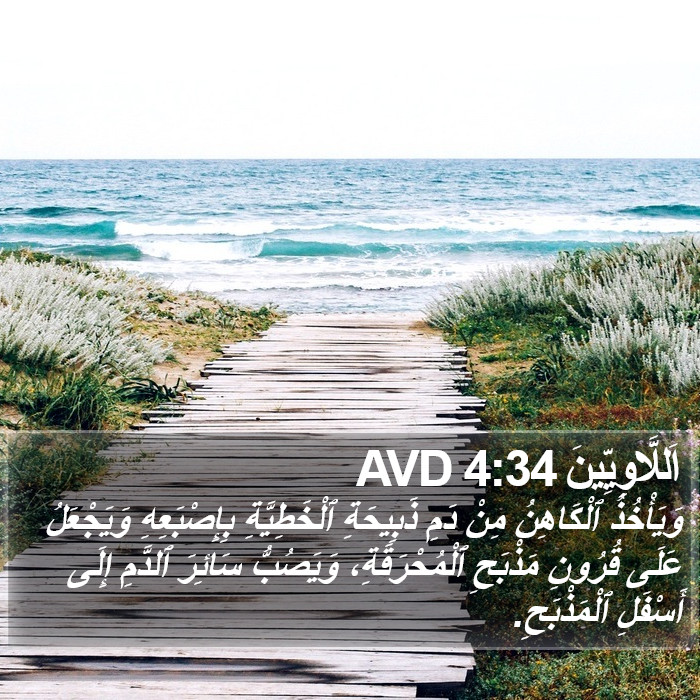 اَللَّاوِيِّينَ 4:34 AVD Bible Study