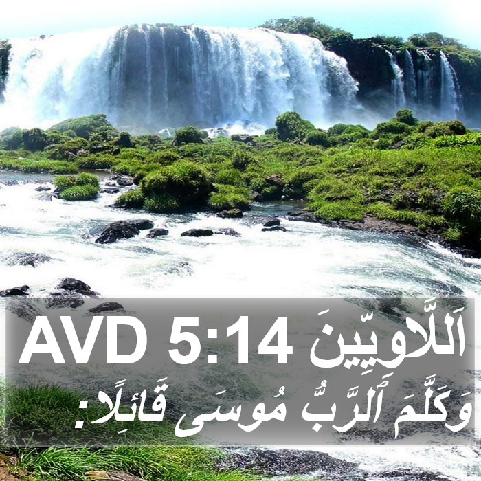 اَللَّاوِيِّينَ 5:14 AVD Bible Study