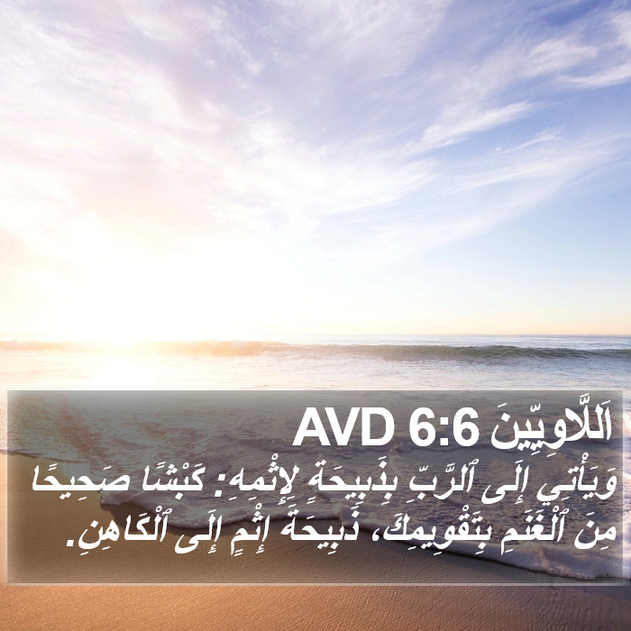 اَللَّاوِيِّينَ 6:6 AVD Bible Study