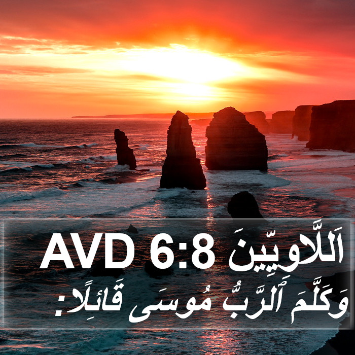 اَللَّاوِيِّينَ 6:8 AVD Bible Study