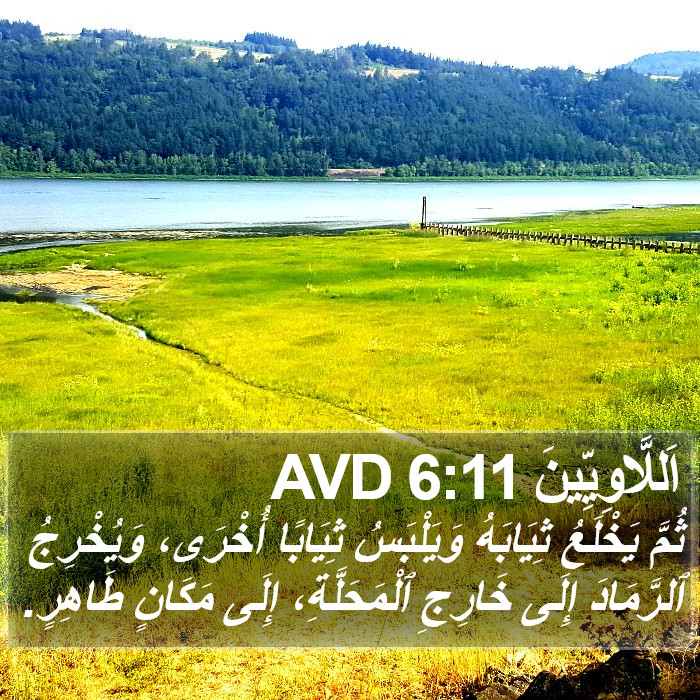 اَللَّاوِيِّينَ 6:11 AVD Bible Study