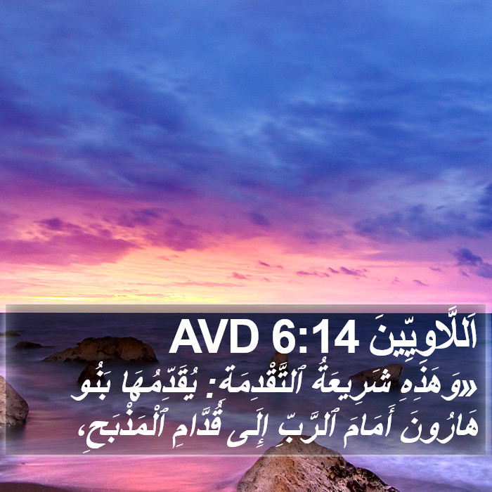 اَللَّاوِيِّينَ 6:14 AVD Bible Study