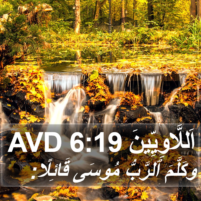 اَللَّاوِيِّينَ 6:19 AVD Bible Study