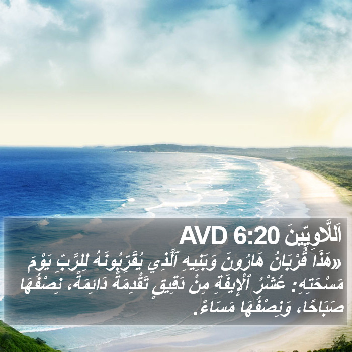 اَللَّاوِيِّينَ 6:20 AVD Bible Study