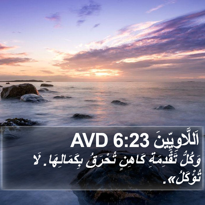 اَللَّاوِيِّينَ 6:23 AVD Bible Study