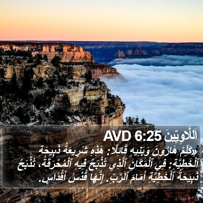 اَللَّاوِيِّينَ 6:25 AVD Bible Study