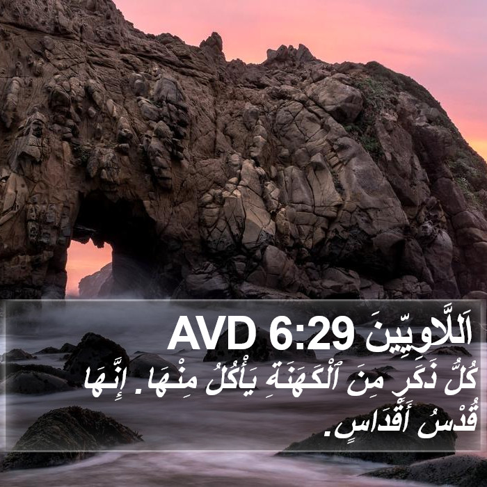اَللَّاوِيِّينَ 6:29 AVD Bible Study