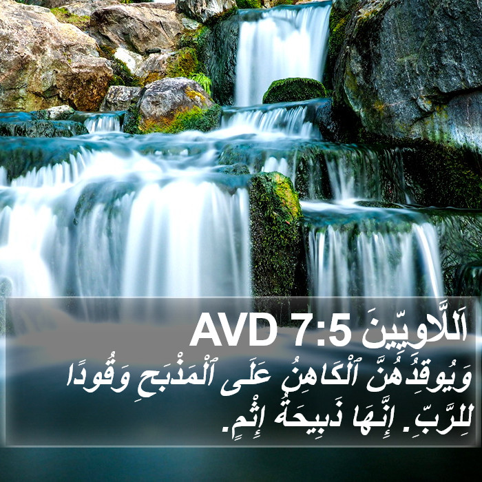 اَللَّاوِيِّينَ 7:5 AVD Bible Study