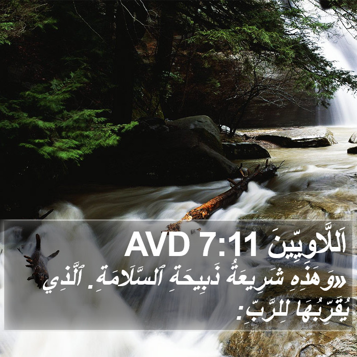 اَللَّاوِيِّينَ 7:11 AVD Bible Study