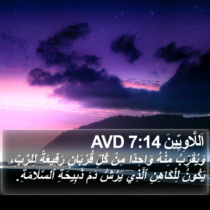 اَللَّاوِيِّينَ 7:14 AVD Bible Study