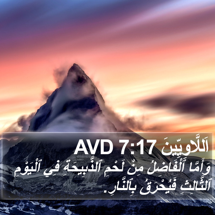 اَللَّاوِيِّينَ 7:17 AVD Bible Study