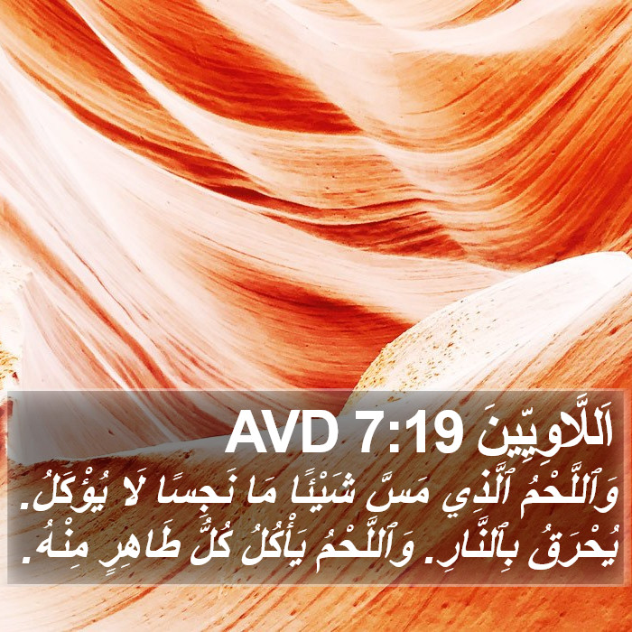 اَللَّاوِيِّينَ 7:19 AVD Bible Study