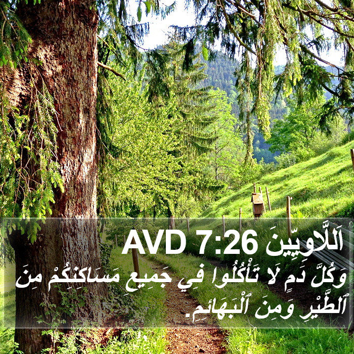 اَللَّاوِيِّينَ 7:26 AVD Bible Study