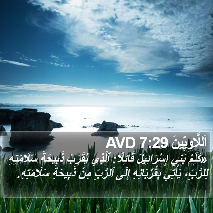 اَللَّاوِيِّينَ 7:29 AVD Bible Study