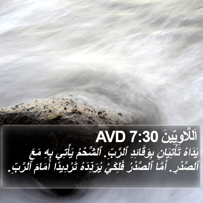 اَللَّاوِيِّينَ 7:30 AVD Bible Study