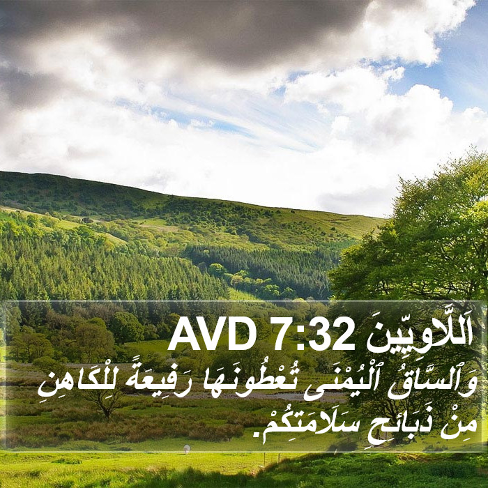 اَللَّاوِيِّينَ 7:32 AVD Bible Study