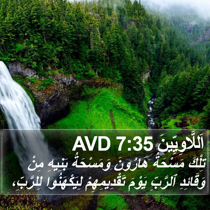 اَللَّاوِيِّينَ 7:35 AVD Bible Study