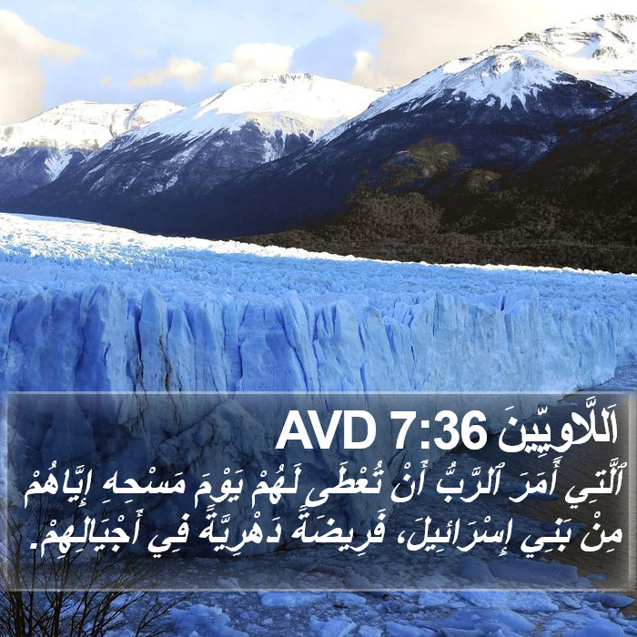 اَللَّاوِيِّينَ 7:36 AVD Bible Study