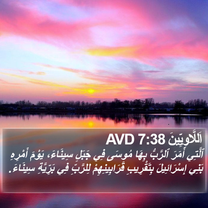 اَللَّاوِيِّينَ 7:38 AVD Bible Study