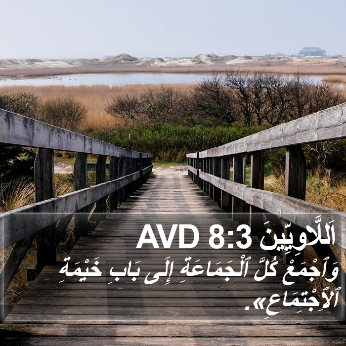 اَللَّاوِيِّينَ 8:3 AVD Bible Study