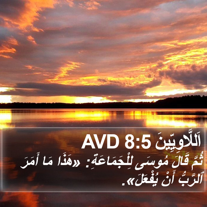 اَللَّاوِيِّينَ 8:5 AVD Bible Study