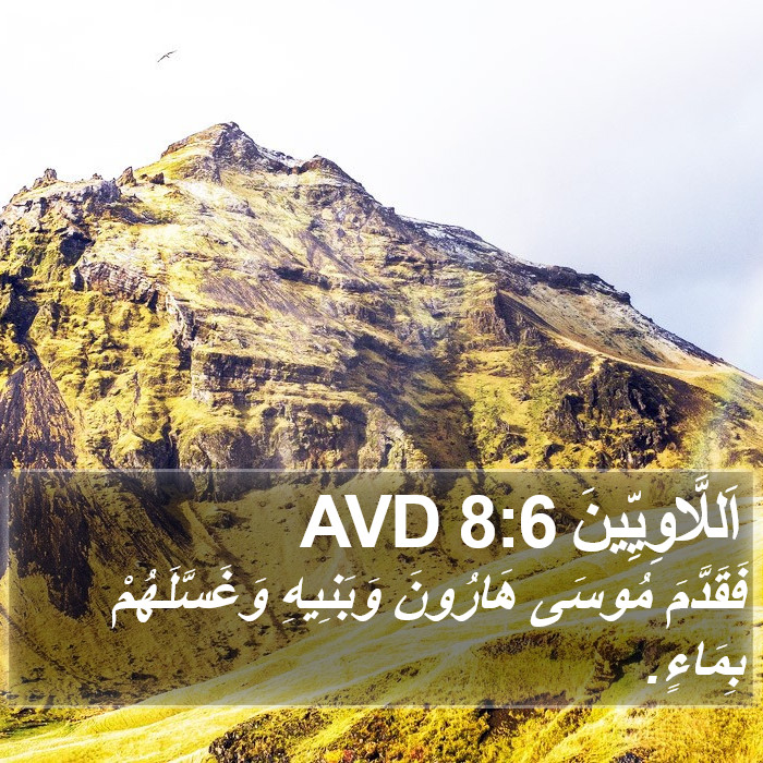 اَللَّاوِيِّينَ 8:6 AVD Bible Study