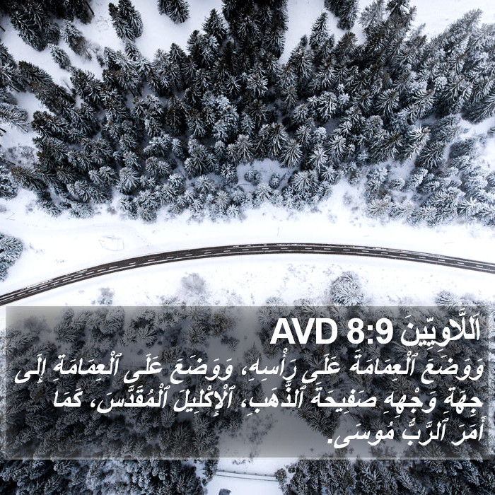 اَللَّاوِيِّينَ 8:9 AVD Bible Study