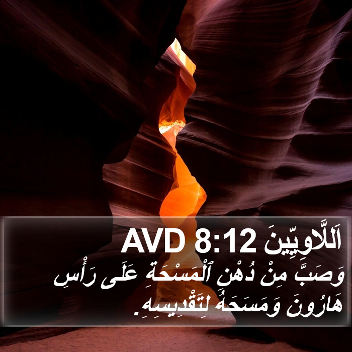 اَللَّاوِيِّينَ 8:12 AVD Bible Study