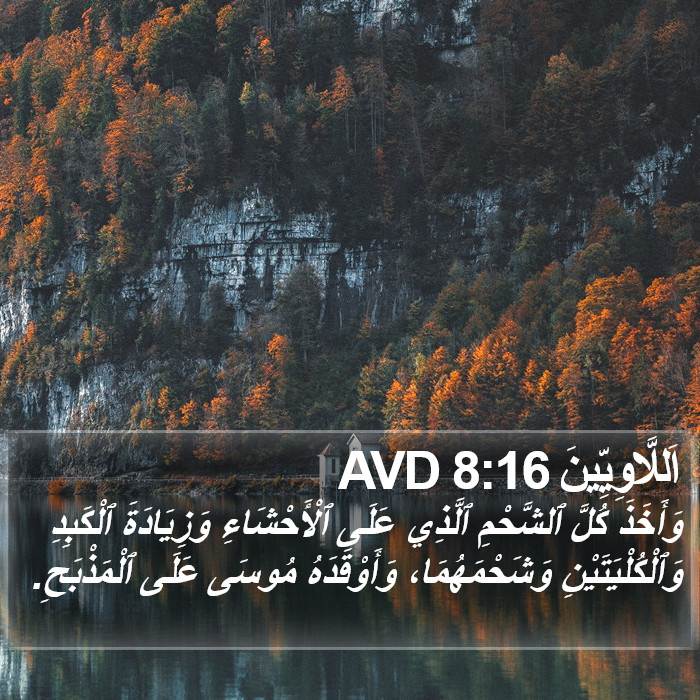 اَللَّاوِيِّينَ 8:16 AVD Bible Study