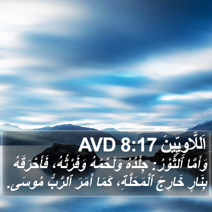 اَللَّاوِيِّينَ 8:17 AVD Bible Study