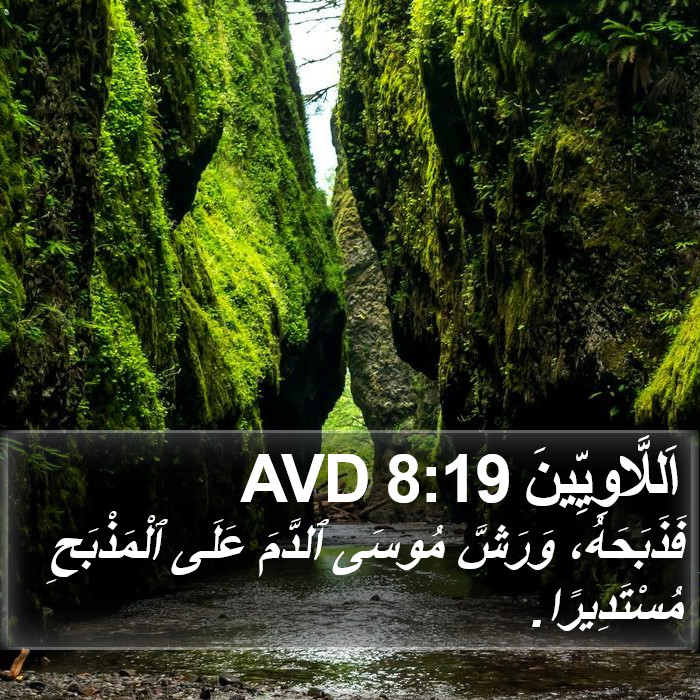 اَللَّاوِيِّينَ 8:19 AVD Bible Study