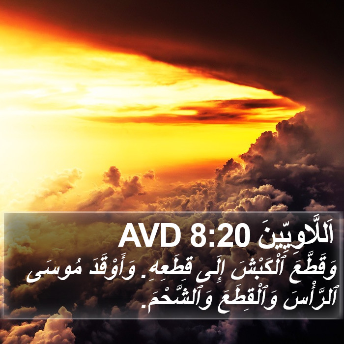 اَللَّاوِيِّينَ 8:20 AVD Bible Study