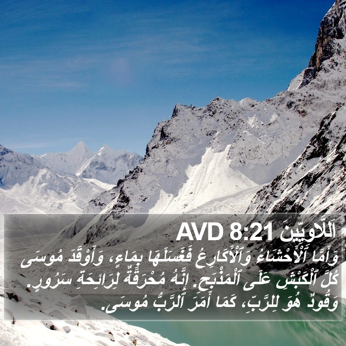 اَللَّاوِيِّينَ 8:21 AVD Bible Study