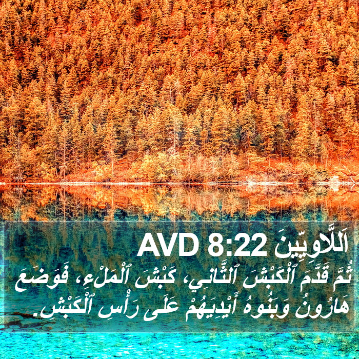 اَللَّاوِيِّينَ 8:22 AVD Bible Study
