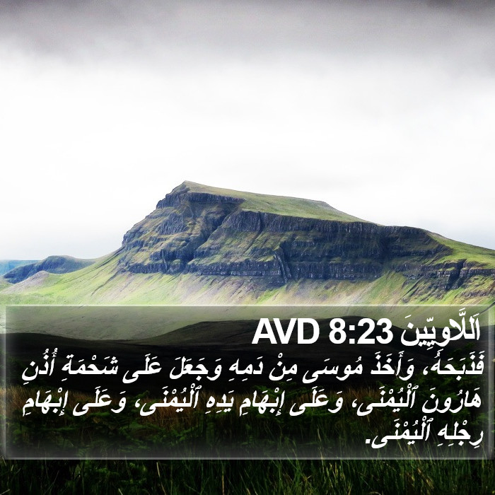 اَللَّاوِيِّينَ 8:23 AVD Bible Study