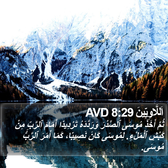 اَللَّاوِيِّينَ 8:29 AVD Bible Study