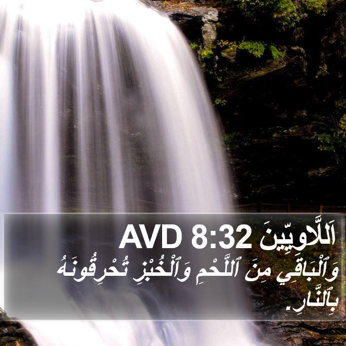 اَللَّاوِيِّينَ 8:32 AVD Bible Study