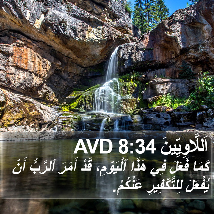 اَللَّاوِيِّينَ 8:34 AVD Bible Study