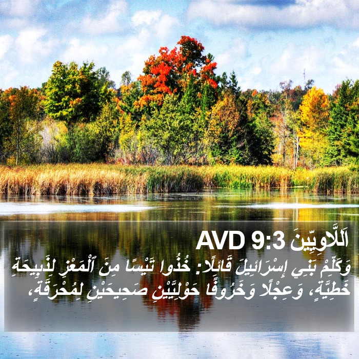 اَللَّاوِيِّينَ 9:3 AVD Bible Study