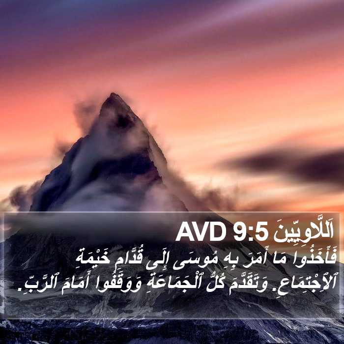 اَللَّاوِيِّينَ 9:5 AVD Bible Study