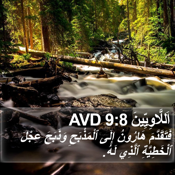 اَللَّاوِيِّينَ 9:8 AVD Bible Study