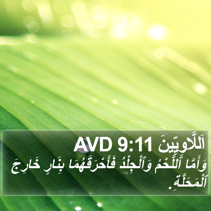 اَللَّاوِيِّينَ 9:11 AVD Bible Study