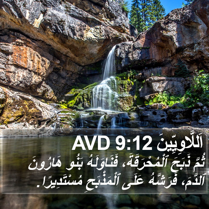 اَللَّاوِيِّينَ 9:12 AVD Bible Study