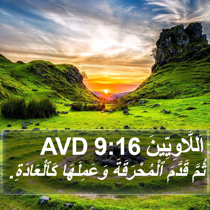 اَللَّاوِيِّينَ 9:16 AVD Bible Study