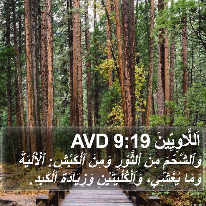 اَللَّاوِيِّينَ 9:19 AVD Bible Study