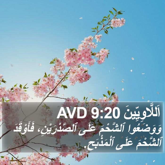 اَللَّاوِيِّينَ 9:20 AVD Bible Study