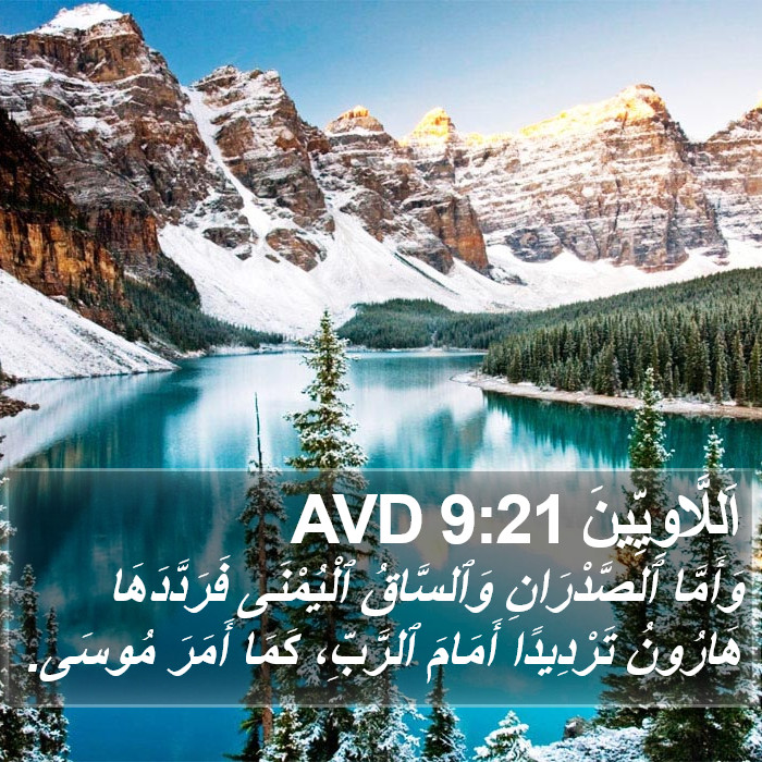 اَللَّاوِيِّينَ 9:21 AVD Bible Study